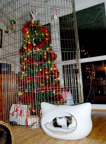 Macskabiztos karácsonyfa